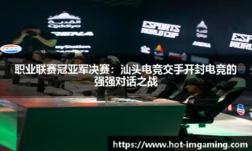 IM电竞官方网站