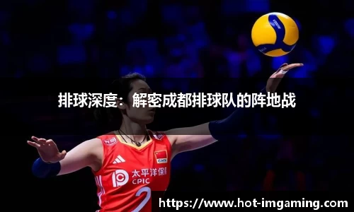 IM电竞官方网站